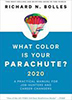 Small paracute illustration with text: What color is your parachute?